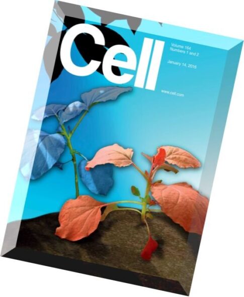 Cell – 14 January 2016