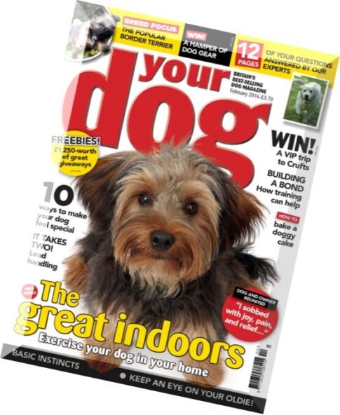 Your Dog — February 2016