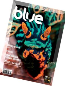 Blue Magazine – Vol 7, Issue 1