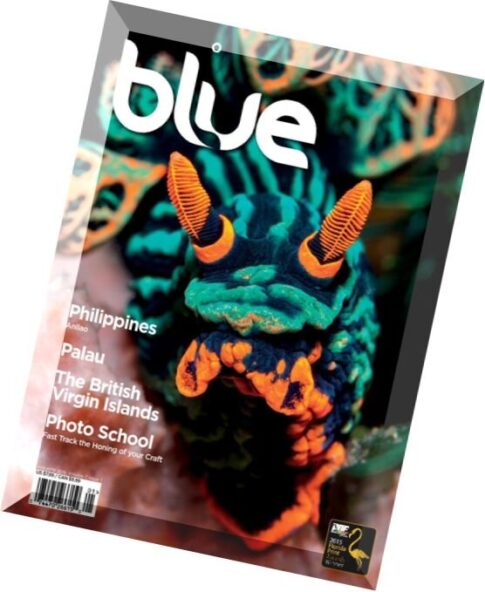 Blue Magazine — Vol 7, Issue 1