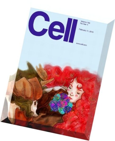 Cell – 11 February 2016
