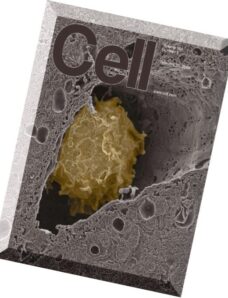Cell – 25 February 2016