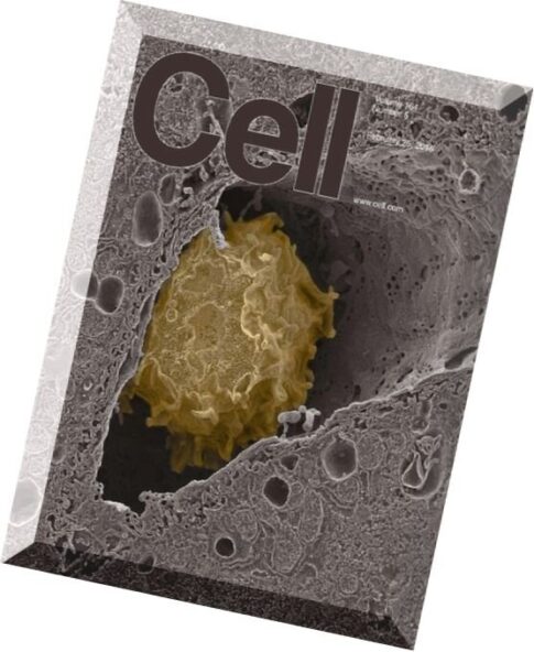 Cell — 25 February 2016