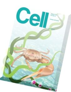 Cell – 26 January 2016