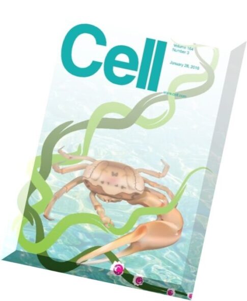 Cell – 26 January 2016