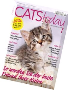 Cats Today – Nr.1, 2016