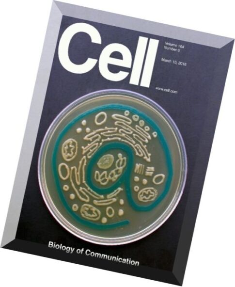 Cell – 10 March 2016