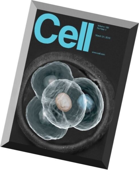 Cell — 24 March 2016