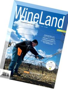 Wineland South Africa — May 2016