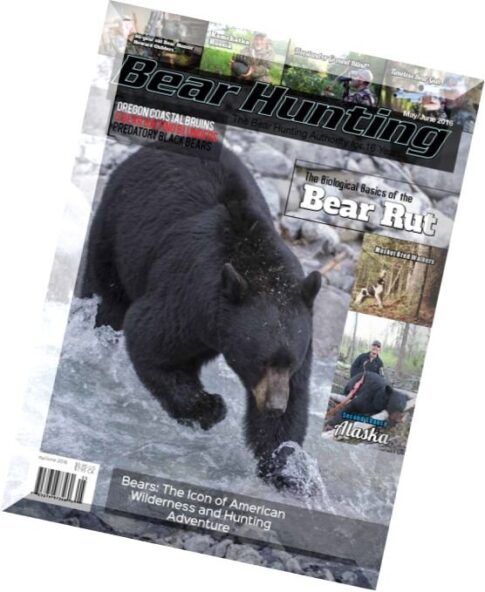 Bear Hunting — May-June 2016