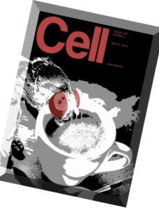 Cell – 21 April 2016