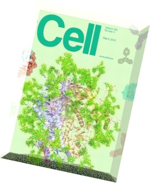 Cell – 5 May 2016