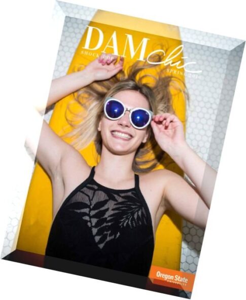 DAMchic Magazine — Spring 2016