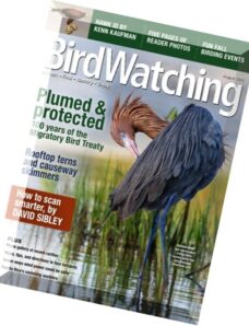 BirdWatching — July-August 2016