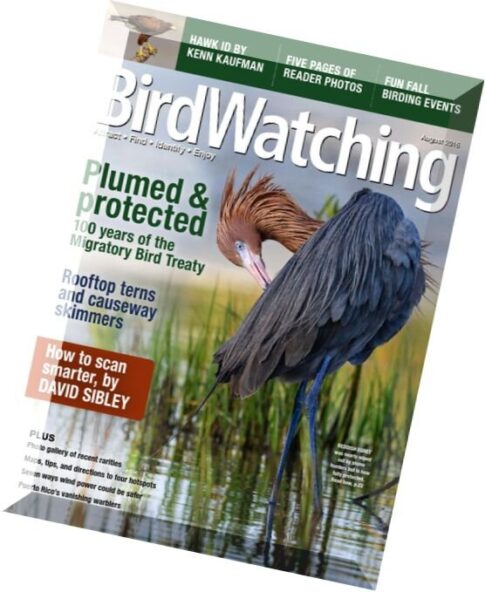 BirdWatching – July-August 2016