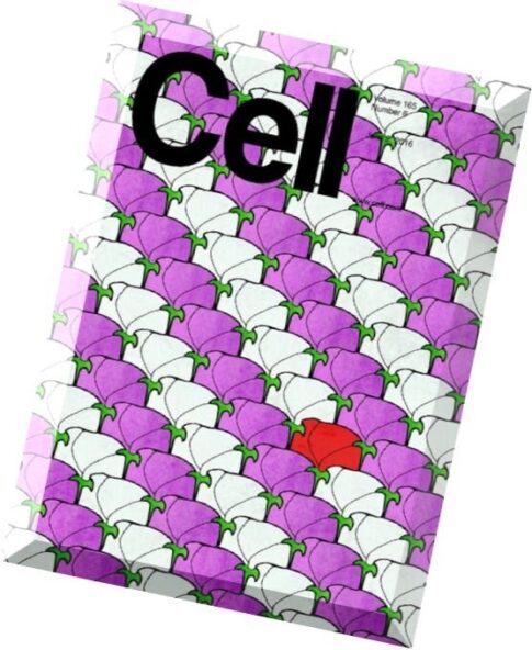 Cell — 2 June 2016