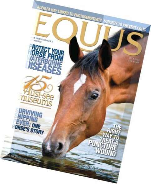 Equus – July 2016