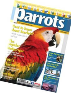 Parrots – July 2016