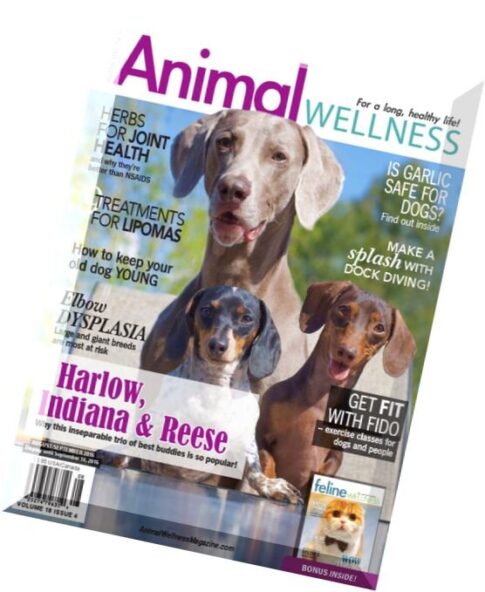 Animal Wellness – August-September 2016