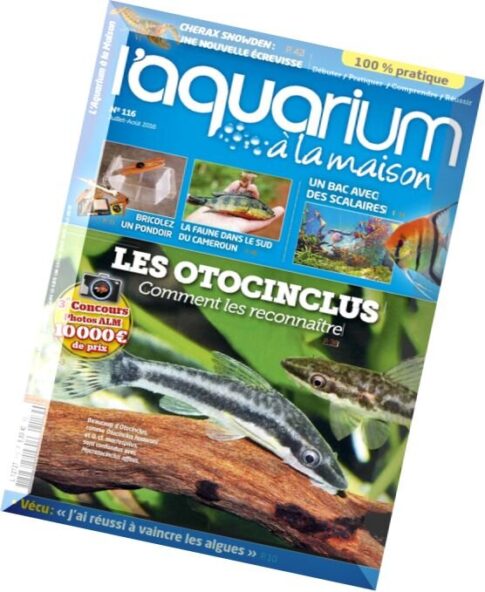 Aquarium a la Maison – Juillet-Aout 2016