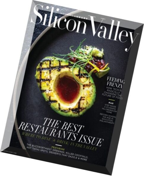 Modern Luxury Silicon Valley — July-August 2016