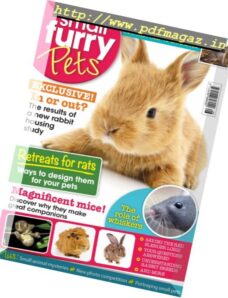Small Furry Pets – August-September 2016