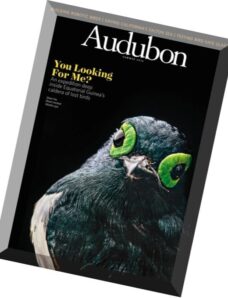 Audubon – Summer 2016
