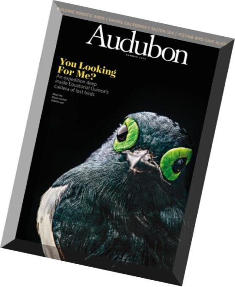Audubon — Summer 2016