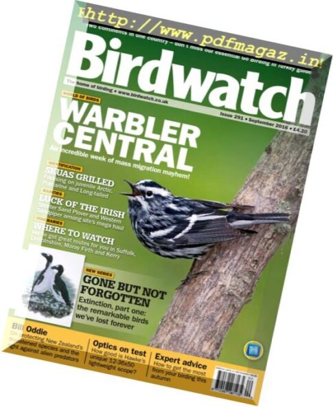 Birdwatch UK – September 2016