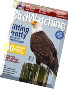 BirdWatching – October 2016