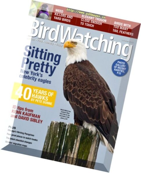 BirdWatching – October 2016