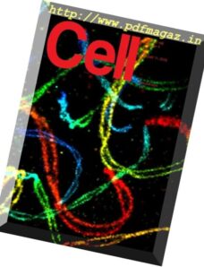 Cell – 11 August 2016