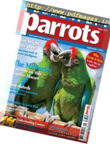 Parrots – September 2016