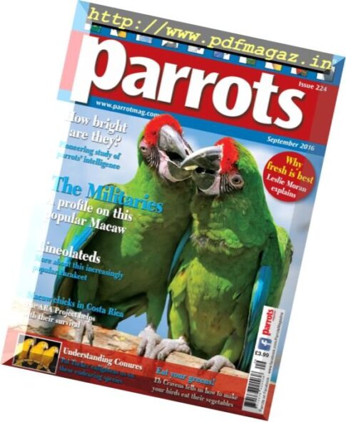 Parrots – September 2016