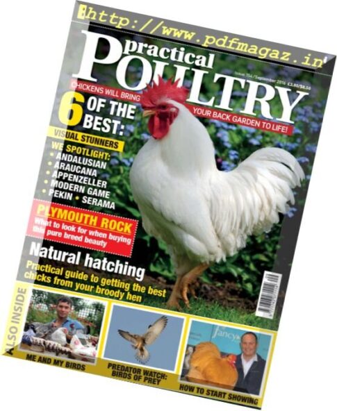 Practical Poultry – September 2016