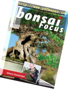 Bonsai Focus — Septembre-Octobre 2016 (French Edition)