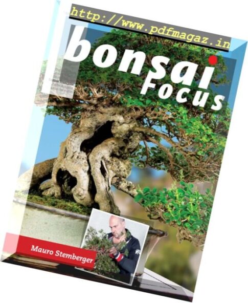 Bonsai Focus – Septembre-Octobre 2016 (French Edition)