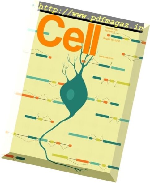 Cell — 25 August 2016
