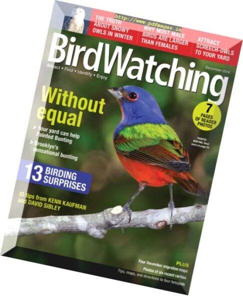 BirdWatching – December 2016