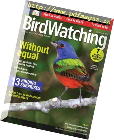 BirdWatching — November-December 2016