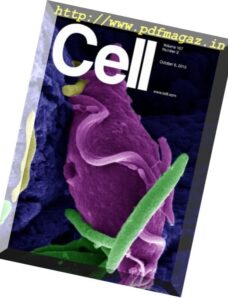 Cell – 6 October 2016