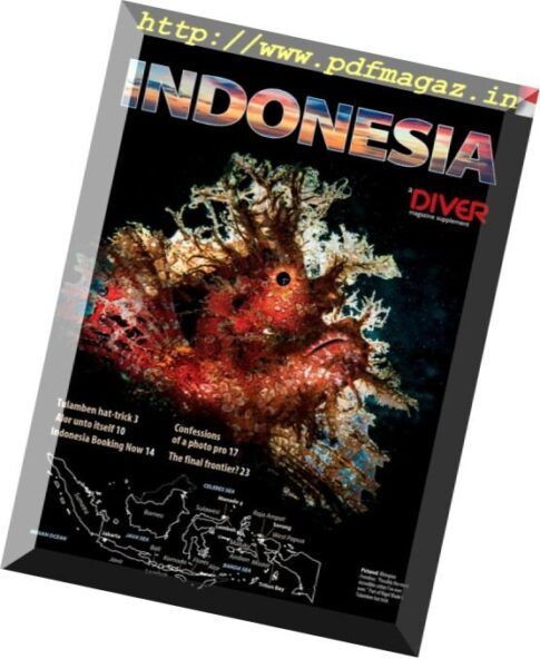 Diver UK – Indonesia Supplement 2016