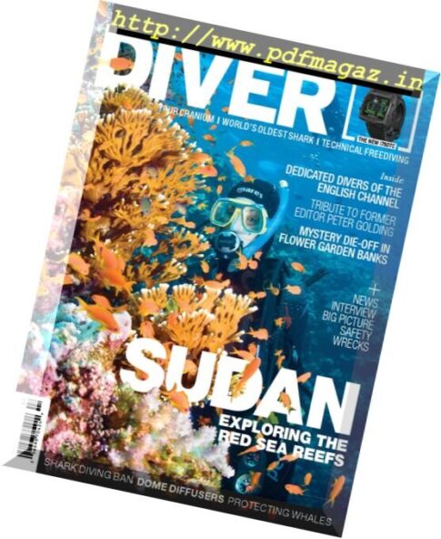 Diver – Vol. 41 Issue 7, 2016