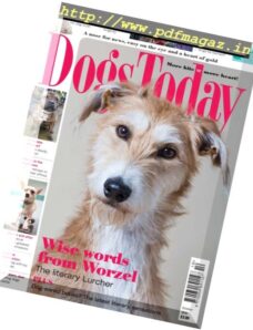 Dogs Today UK — October 2016