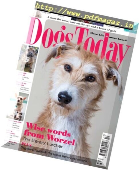 Dogs Today UK – October 2016