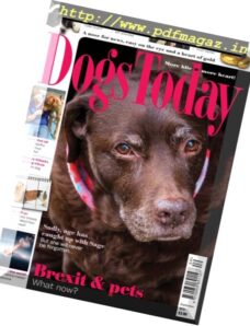 Dogs Today UK – September 2016