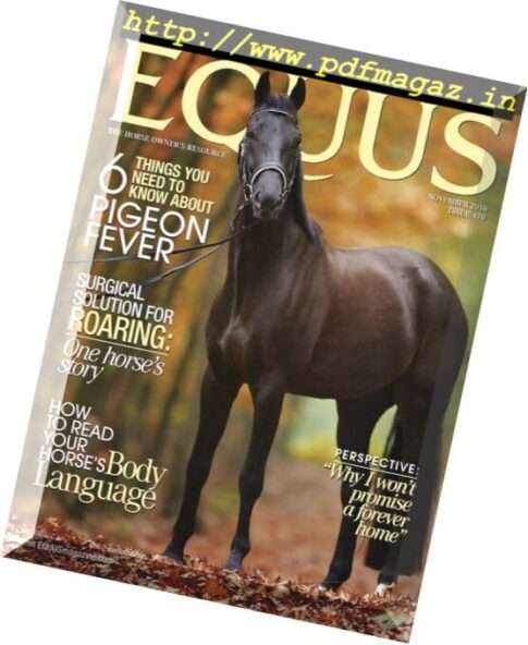 Equus – November 2016