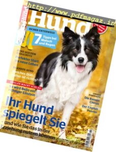 Partner Hund – November 2016