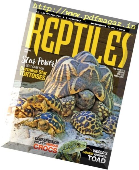 Reptiles – November – December 2016