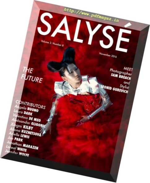 Salyse Magazine – November 2016
